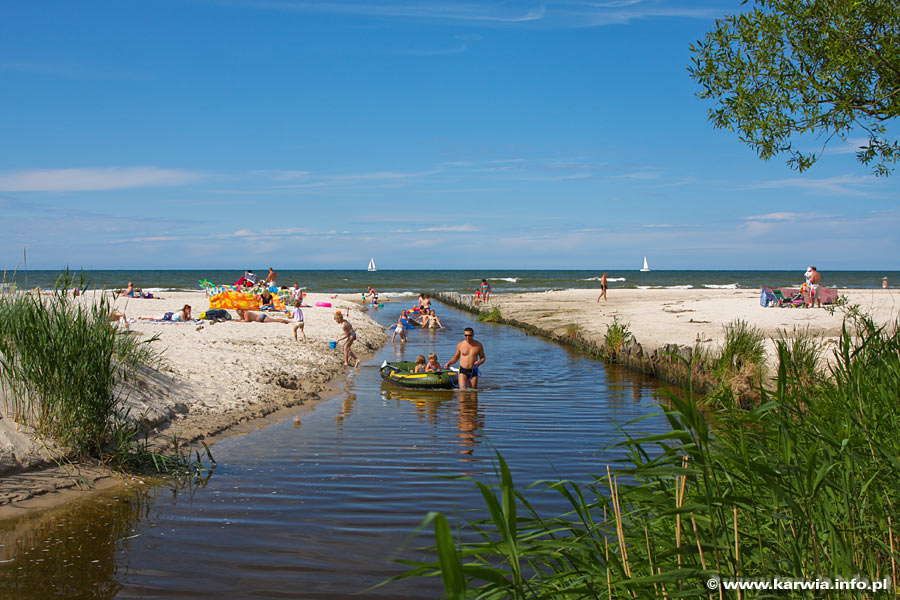 Karwia
